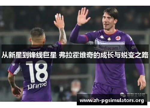 从新星到锋线巨星 弗拉霍维奇的成长与蜕变之路 从新星到锋线巨星 弗拉霍维奇的成长与蜕变之路