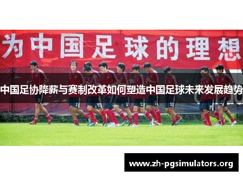 中国足协降薪与赛制改革如何塑造中国足球未来发展趋势 中国足协降薪与赛制改革如何塑造中国足球未来发展趋势