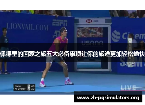 佩德里的回家之旅五大必备事项让你的旅途更加轻松愉快