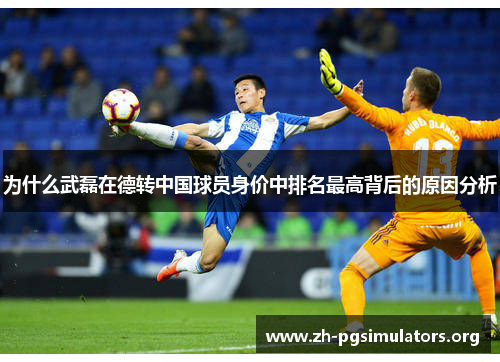 为什么武磊在德转中国球员身价中排名最高背后的原因分析 为什么武磊在德转中国球员身价中排名最高背后的原因分析