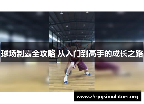球场制霸全攻略 从入门到高手的成长之路