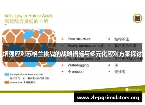 增强应对苏格兰挑战的战略措施与多元化应对方案探讨 增强应对苏格兰挑战的战略措施与多元化应对方案探讨