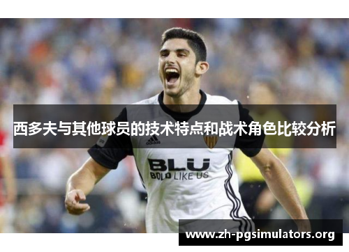 西多夫与其他球员的技术特点和战术角色比较分析 西多夫与其他球员的技术特点和战术角色比较分析